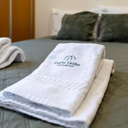 Gloria In - Velho Oporto